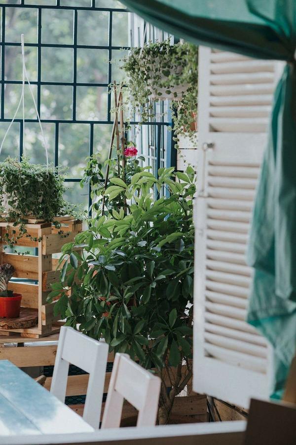 Hostel Momento Boutique House 1 Hanoi Zewnętrze zdjęcie